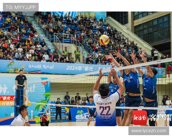 排球盛宴：深入杭州排球队团队协作的背后故事与精神探索